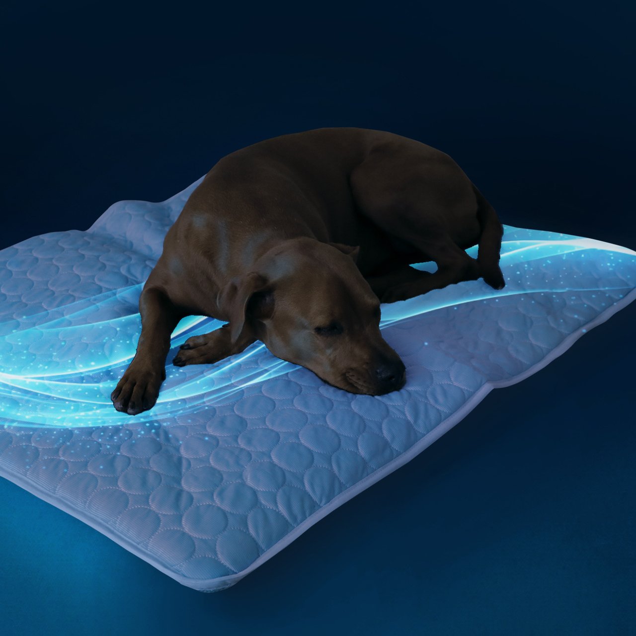 🐶Pet Cooling Mat❄️-purrpetclean