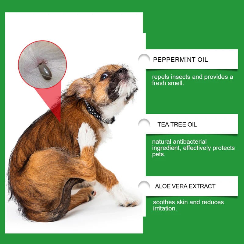 🐶🐱Natural Flea & Tick Spray for Dogs and Cats-purrpetclean