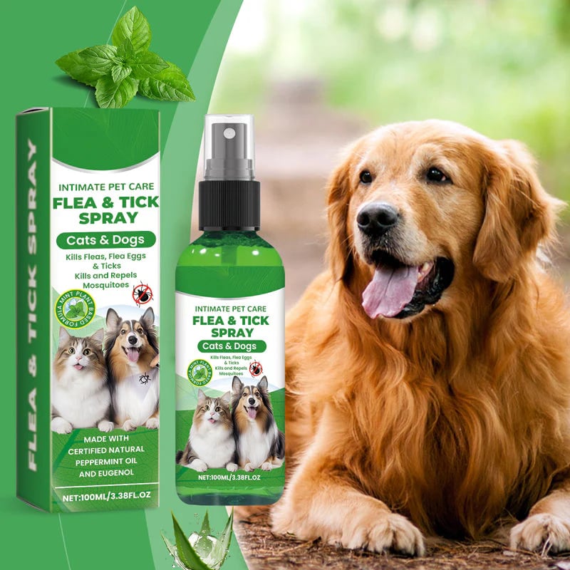 🐶🐱Natural Flea & Tick Spray for Dogs and Cats-purrpetclean