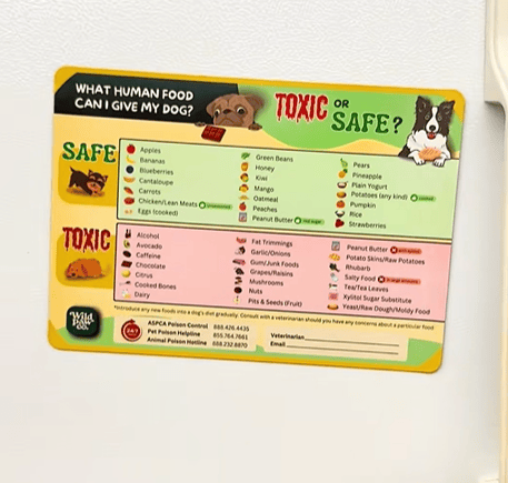 Toxic Food for Dogs Fridge Magnet-purrpetclean