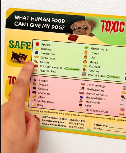 Toxic Food for Dogs Fridge Magnet-purrpetclean