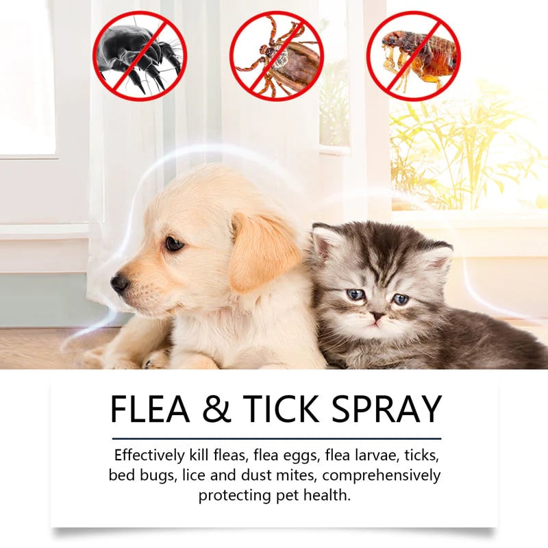 🐶🐱Natural Flea & Tick Spray for Dogs and Cats-purrpetclean
