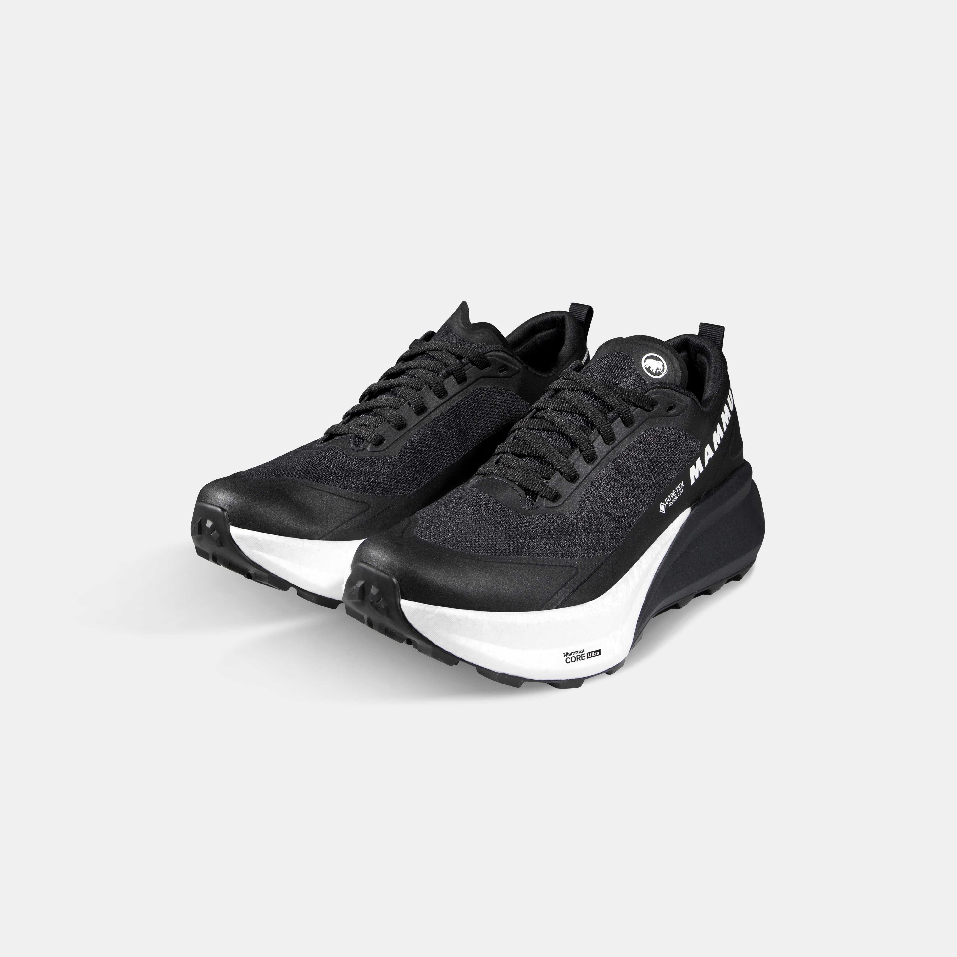 Aenergy Trail Endurance Ultra Low GTX Men