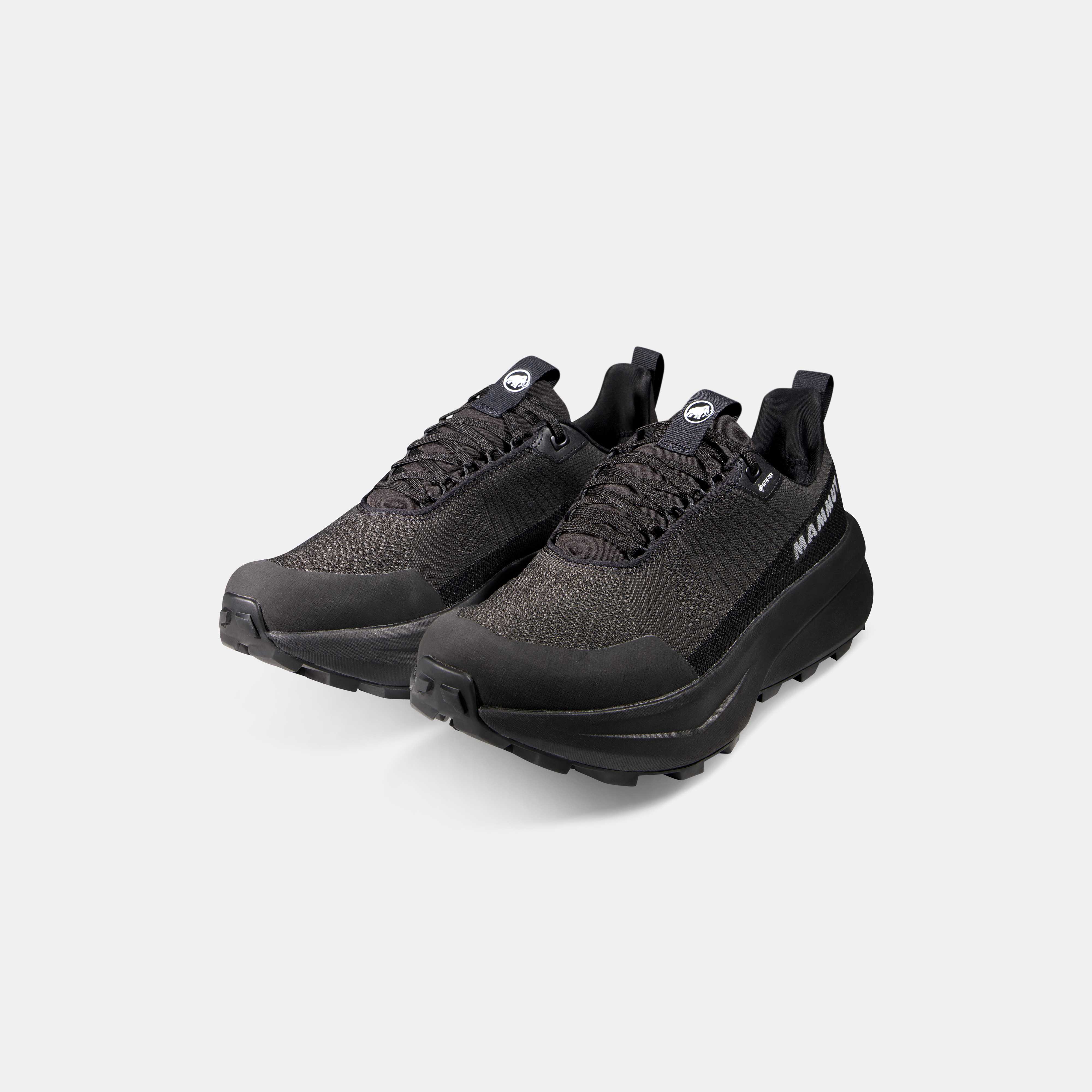 Aenergy Mtn Low GTX Men
