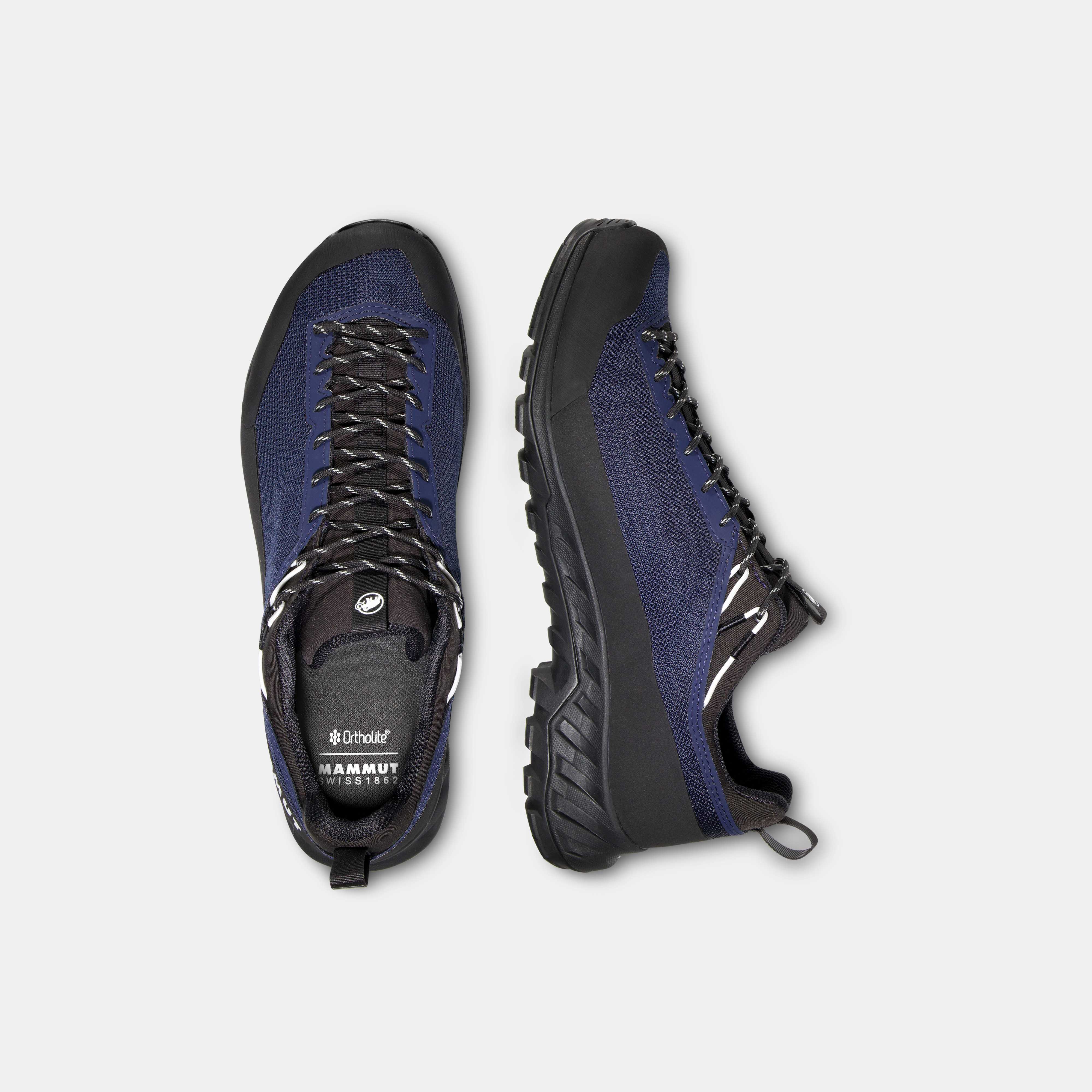 Alnasca IV Low GTX Men