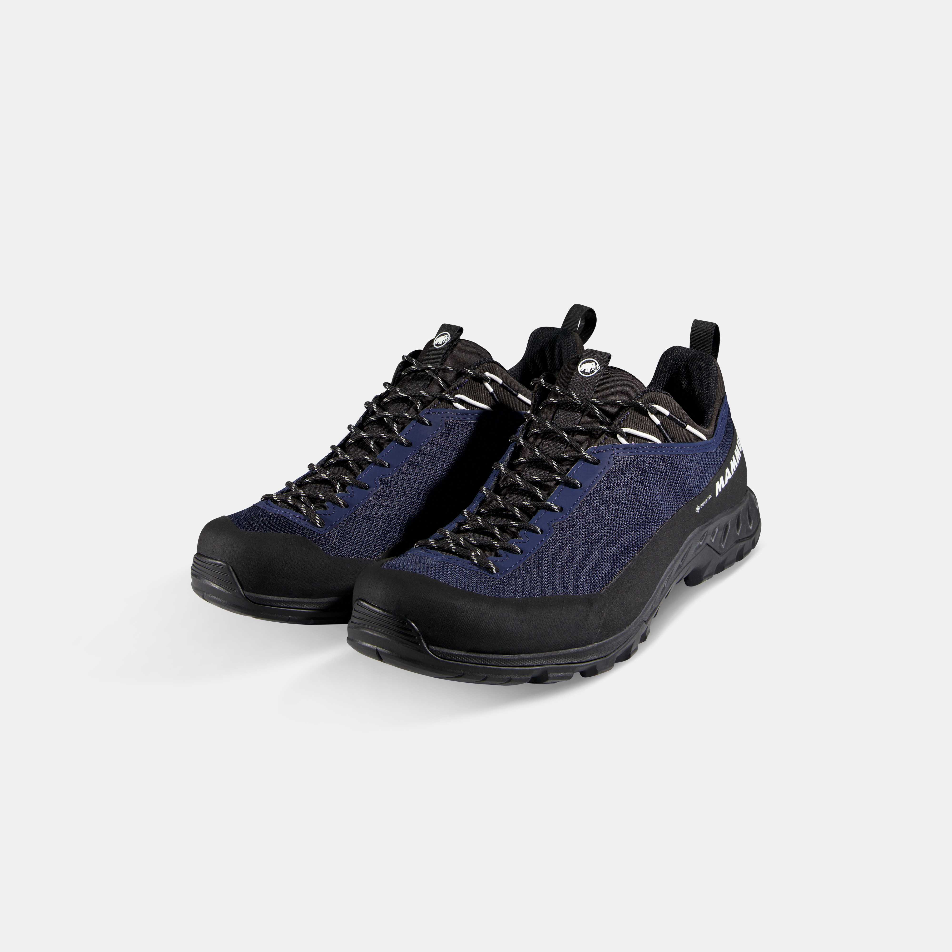 Alnasca IV Low GTX Men