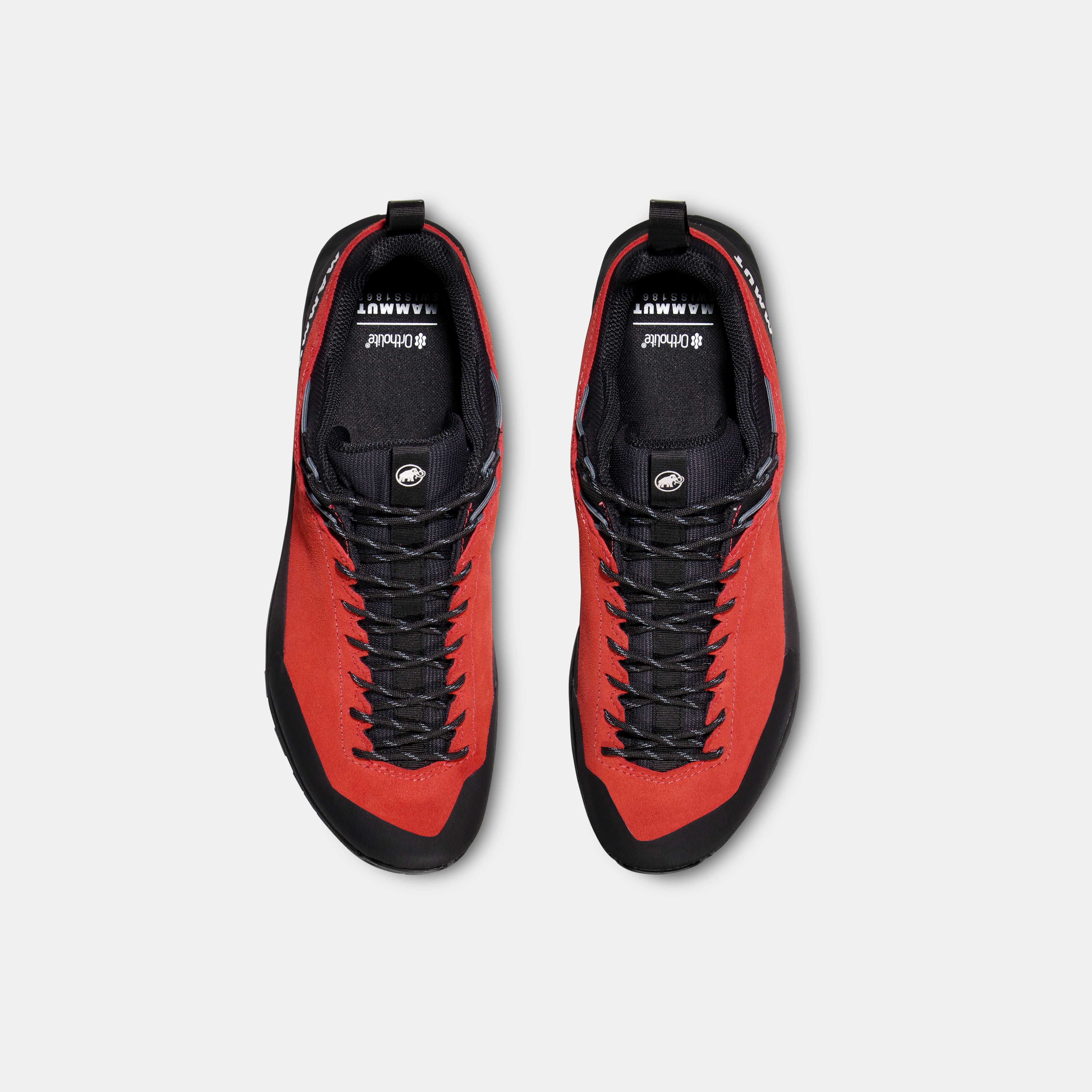 Alnasca IV Low LTH GTX Men