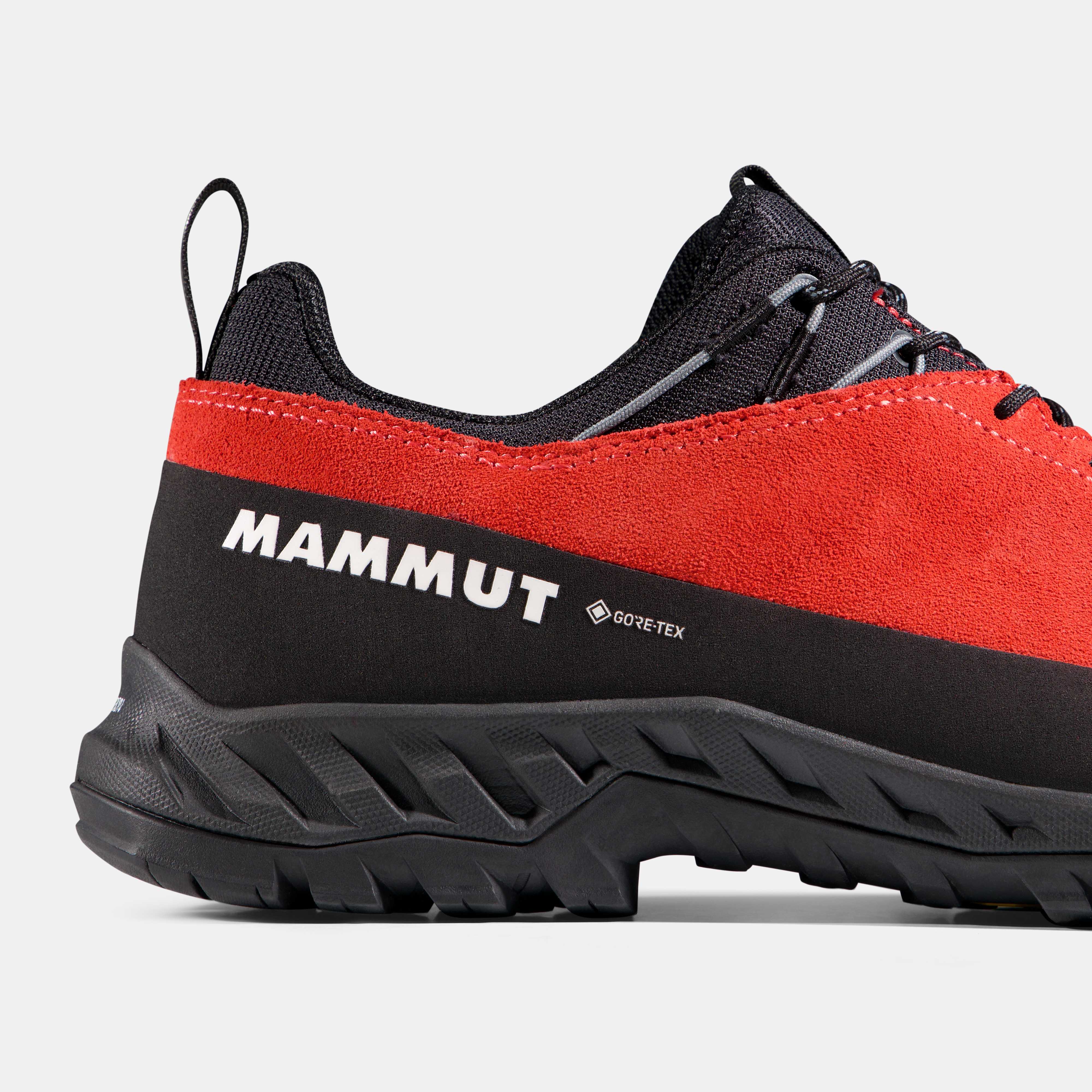 Alnasca IV Low LTH GTX Men