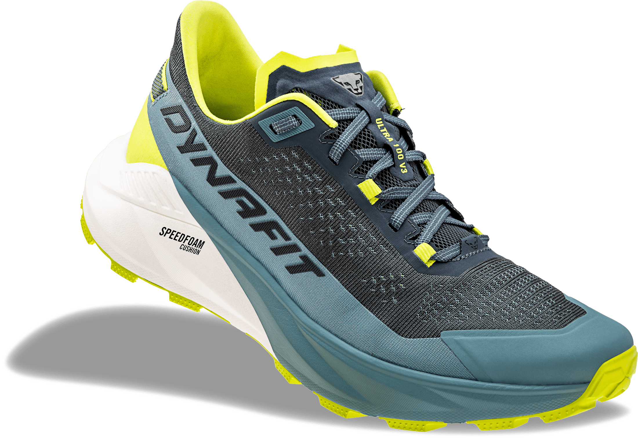 Ultra 100 V3 M