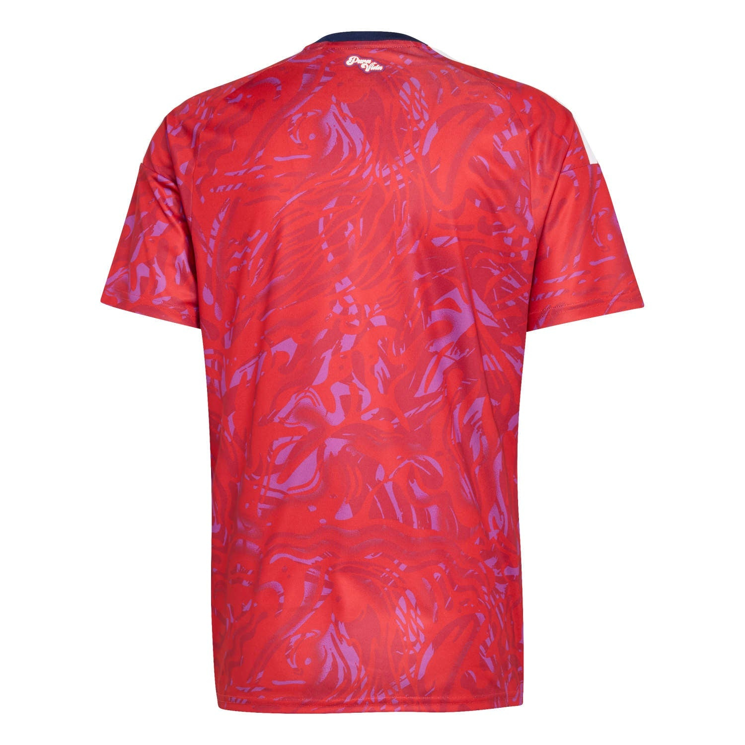 Costa Rica 2026 Home Soccer Jersey - Men's