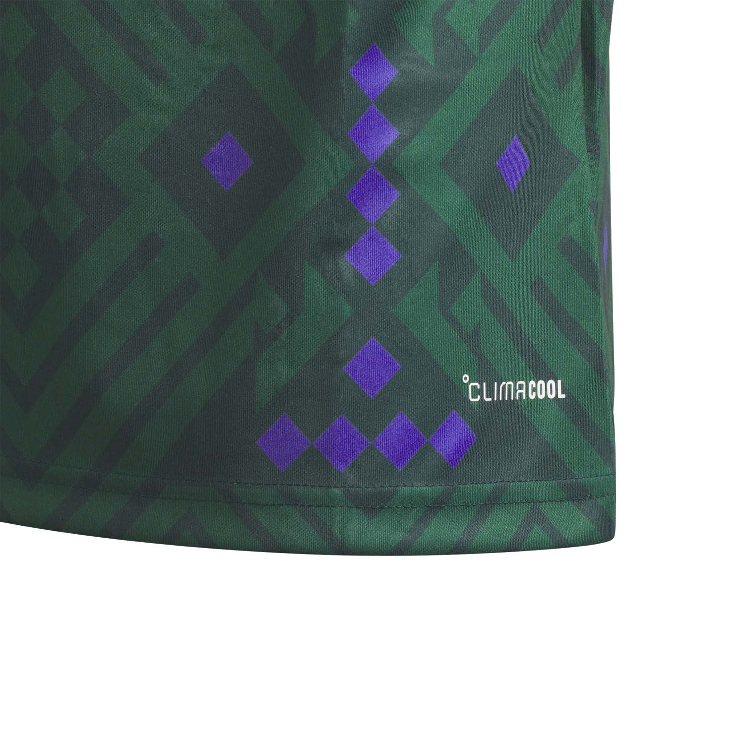 Saudi Arabia 2026 Home Soccer Jersey - Youth