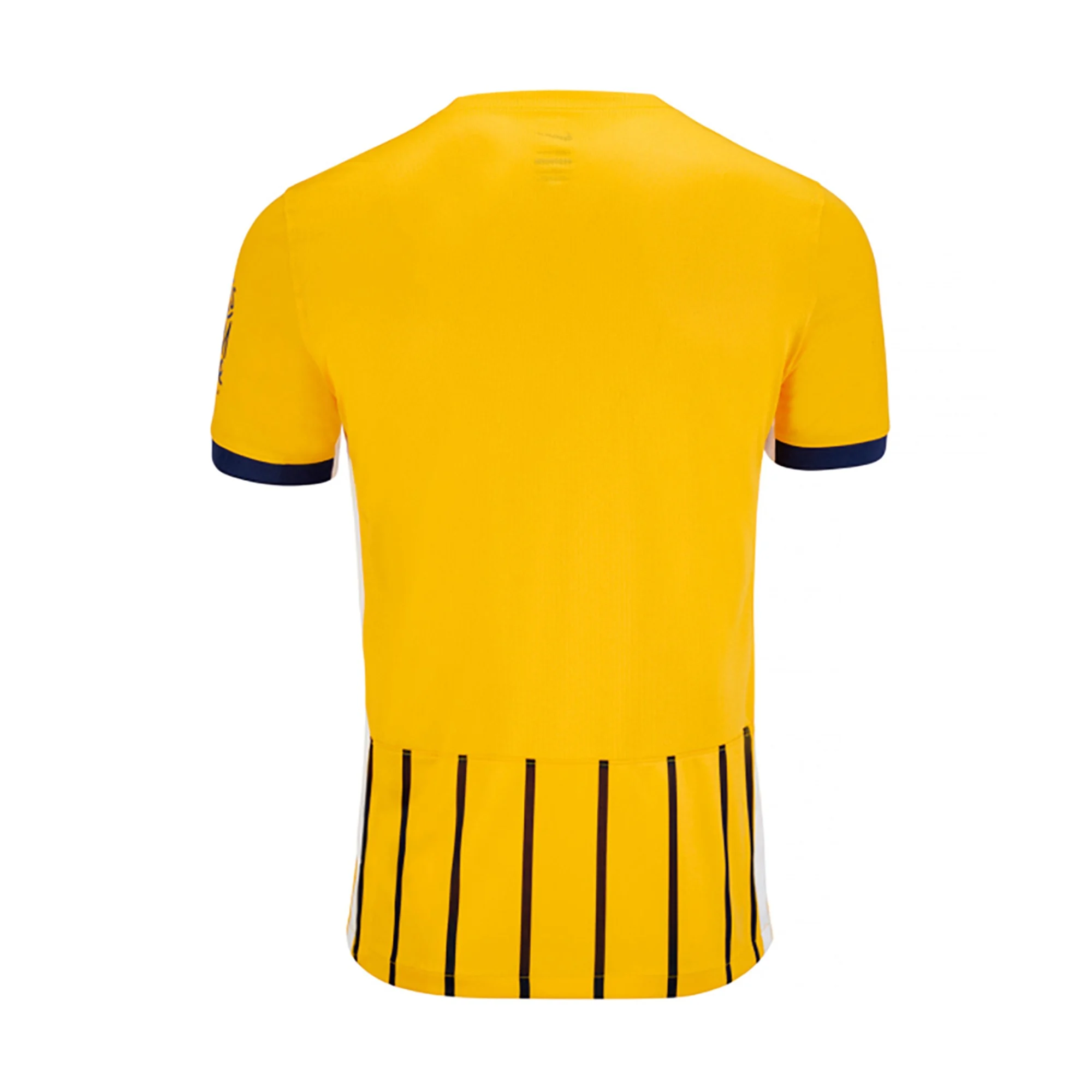 Mens Brighton Third Jersey 2025-26 Football Shirt