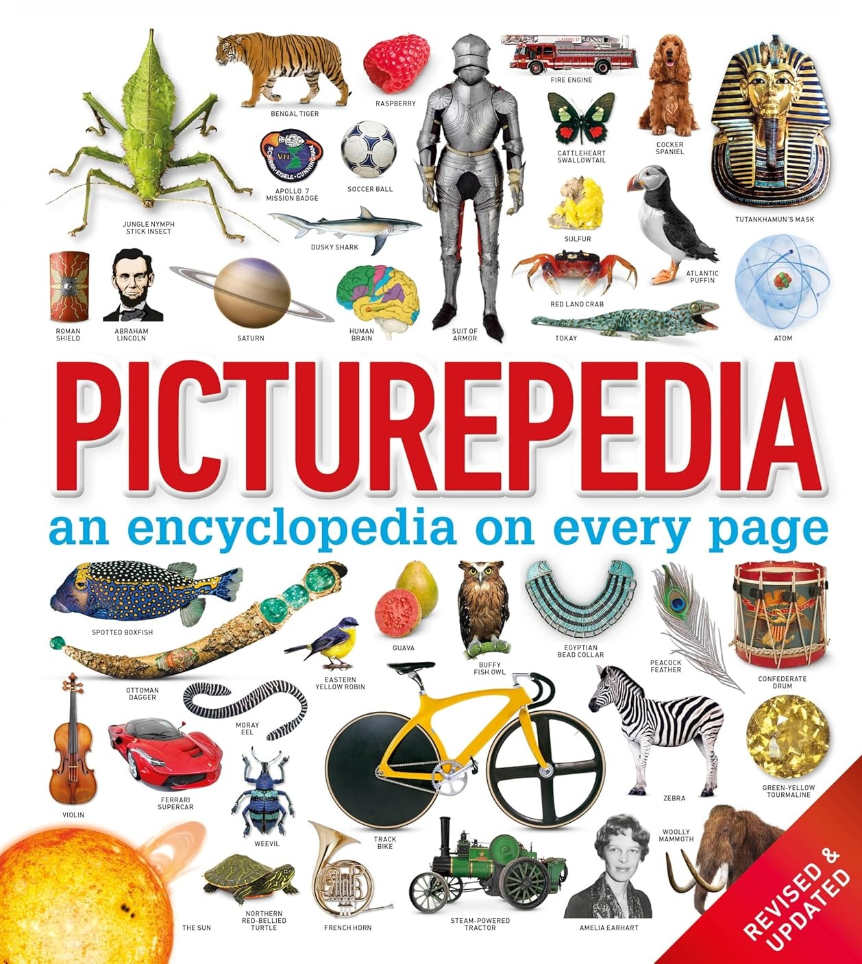 Picturepedia: An Encyclopedia on Every Page