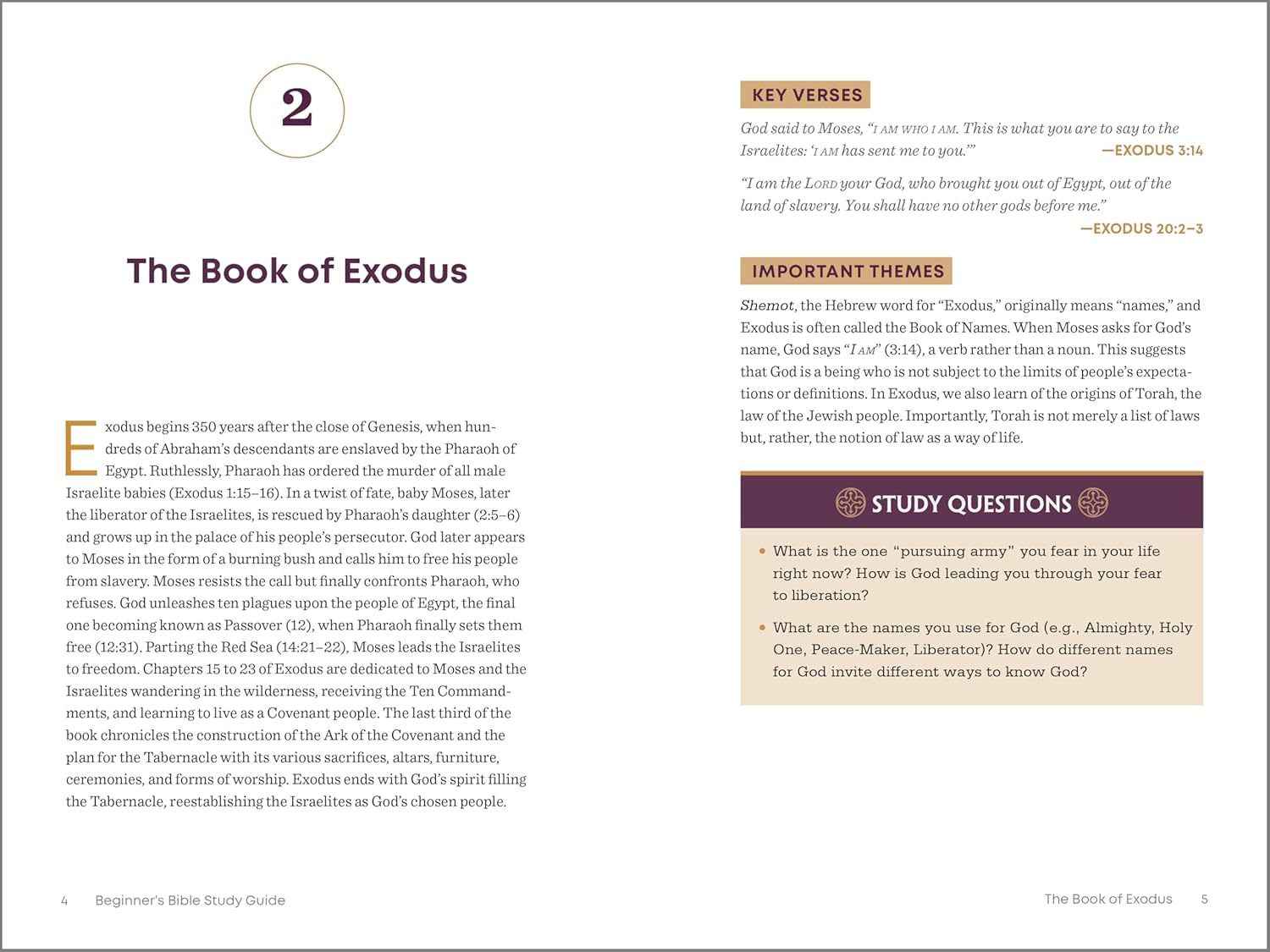 The Beginner's Bible Study Guide: An Introduction to All 66 Books of the Bible