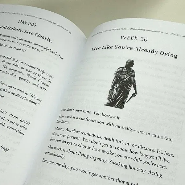 Stoicism: 365 Daily Lessons for Motivation, Mental Strength, and Emotional Clarity