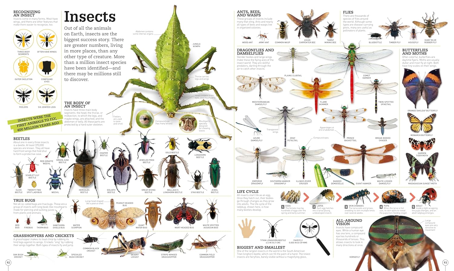 Picturepedia, Second Edition: An Encyclopedia on Every Page