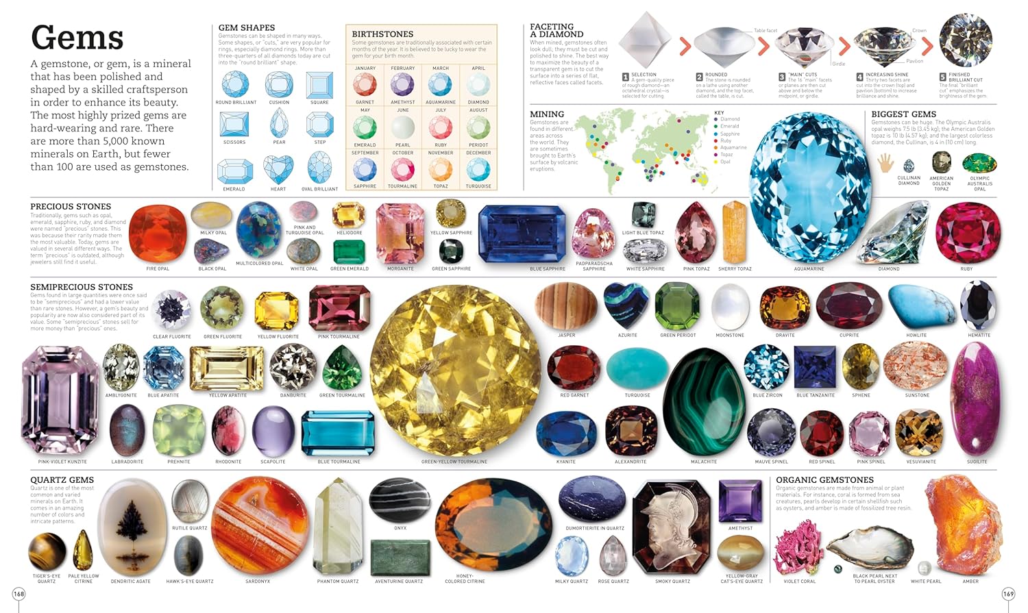 Picturepedia, Second Edition: An Encyclopedia on Every Page
