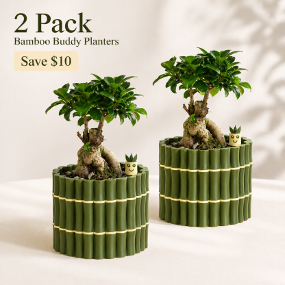 🎍Bamboo Buddy Self-Watering Planter A cute little planter that helps your plant drink at its own pace.🎍