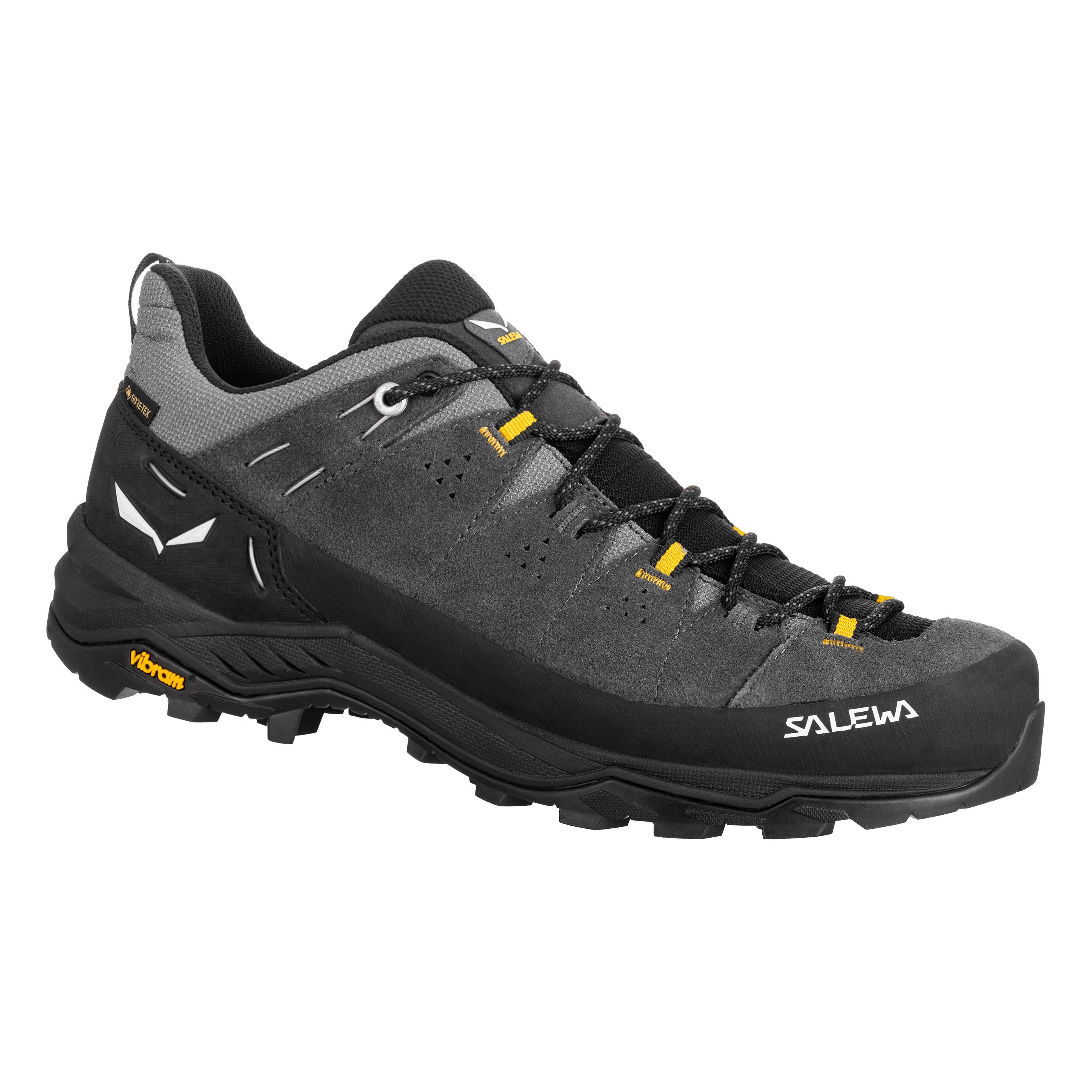 Alp Trainer 2 Gore-Tex® Shoe Men