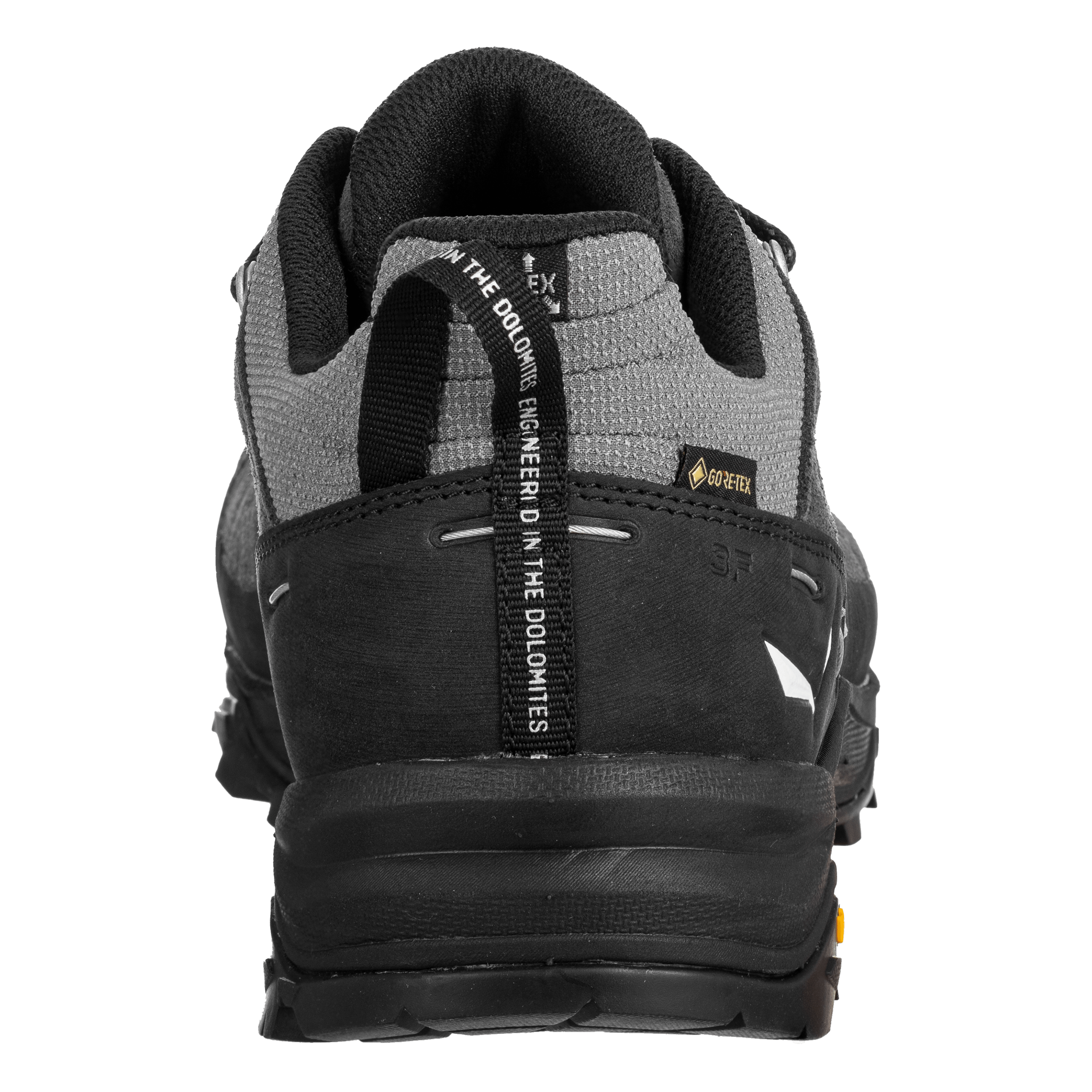 Alp Trainer 2 Gore-Tex® Shoe Men