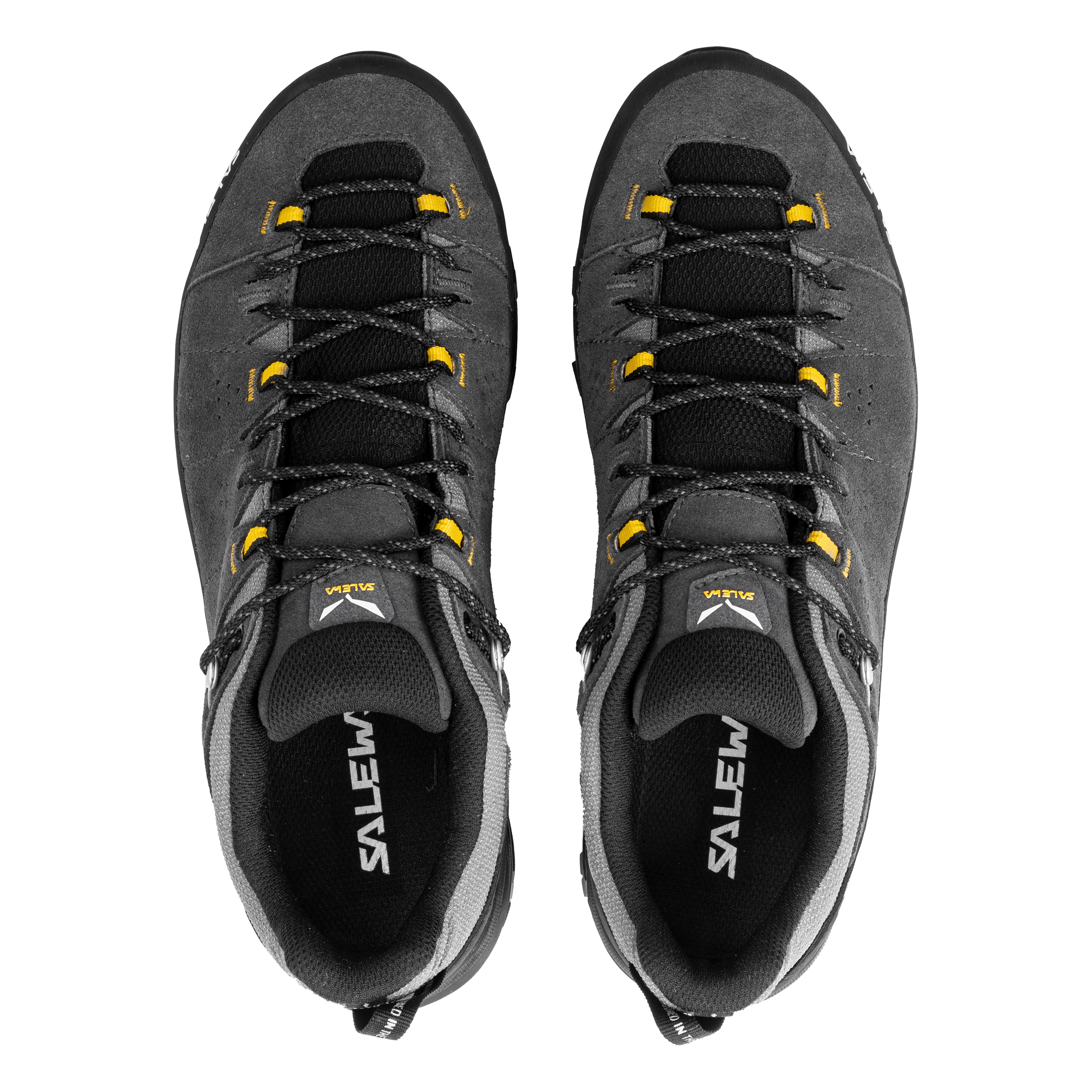 Alp Trainer 2 Gore-Tex® Shoe Men