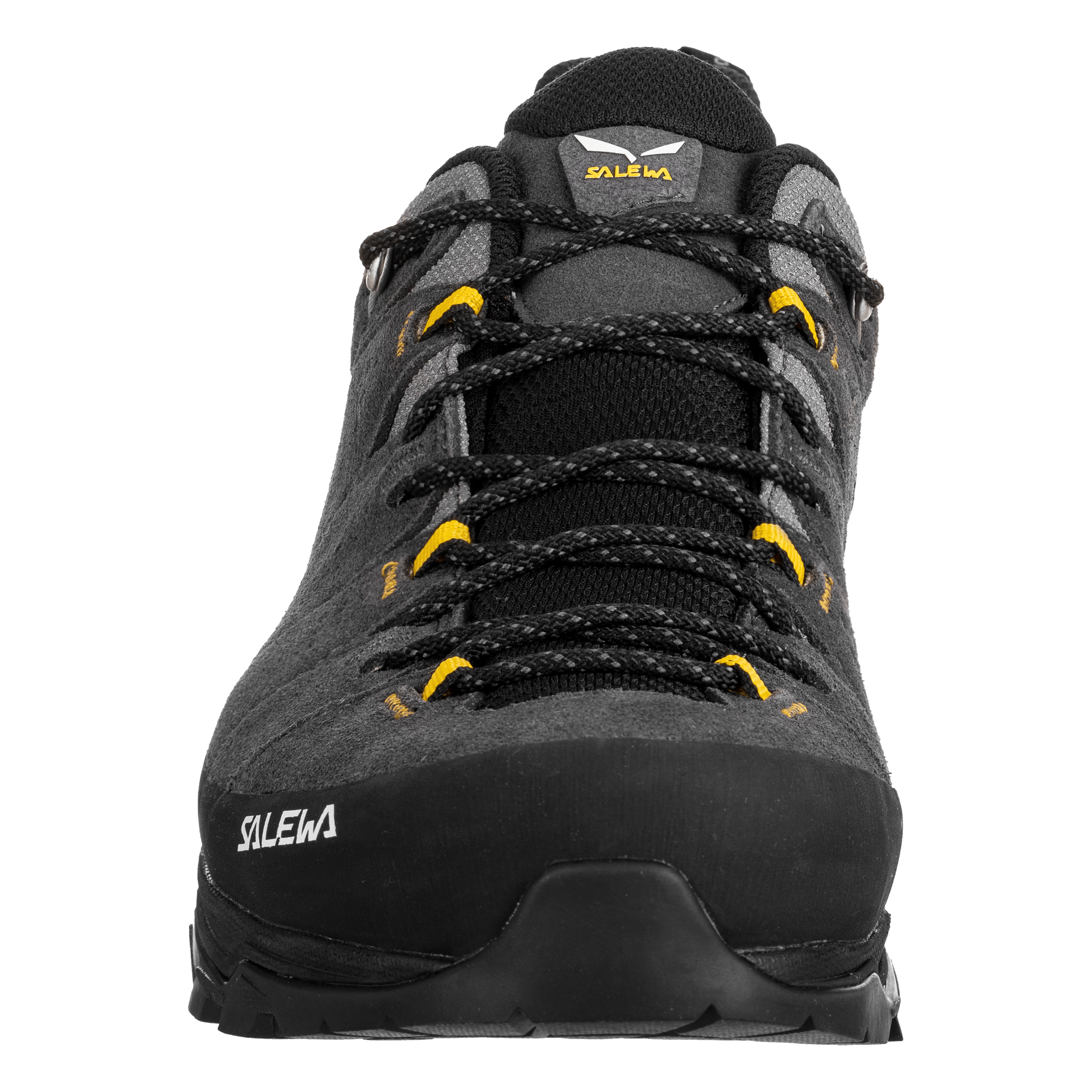 Alp Trainer 2 Gore-Tex® Shoe Men