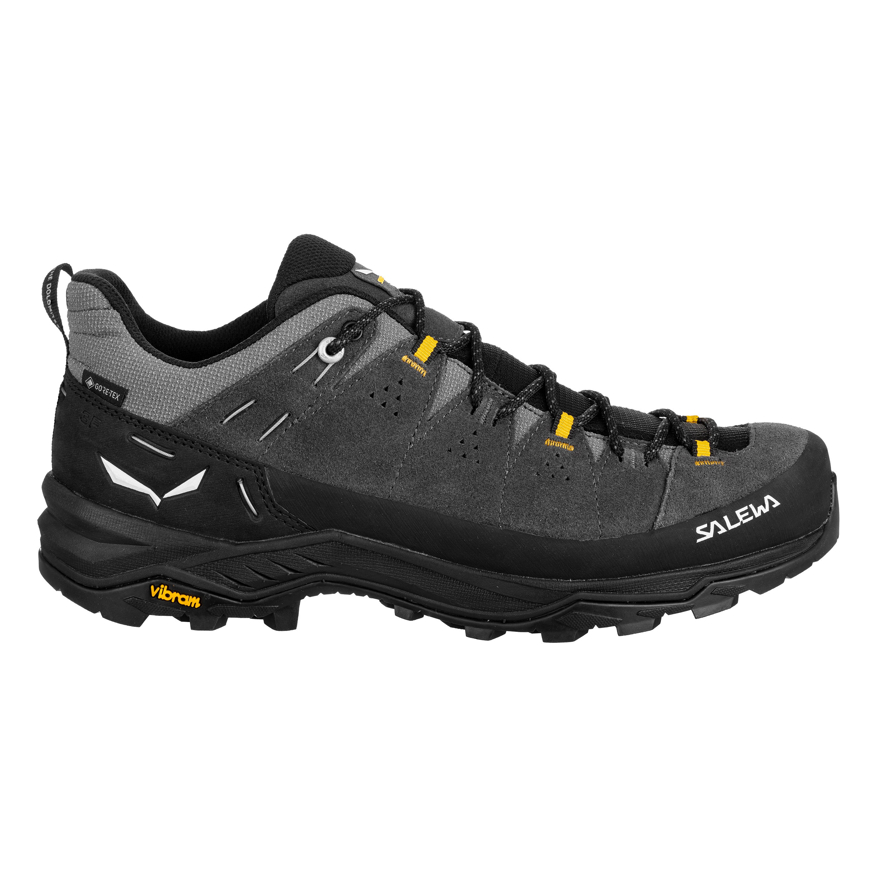 Alp Trainer 2 Gore-Tex® Shoe Men