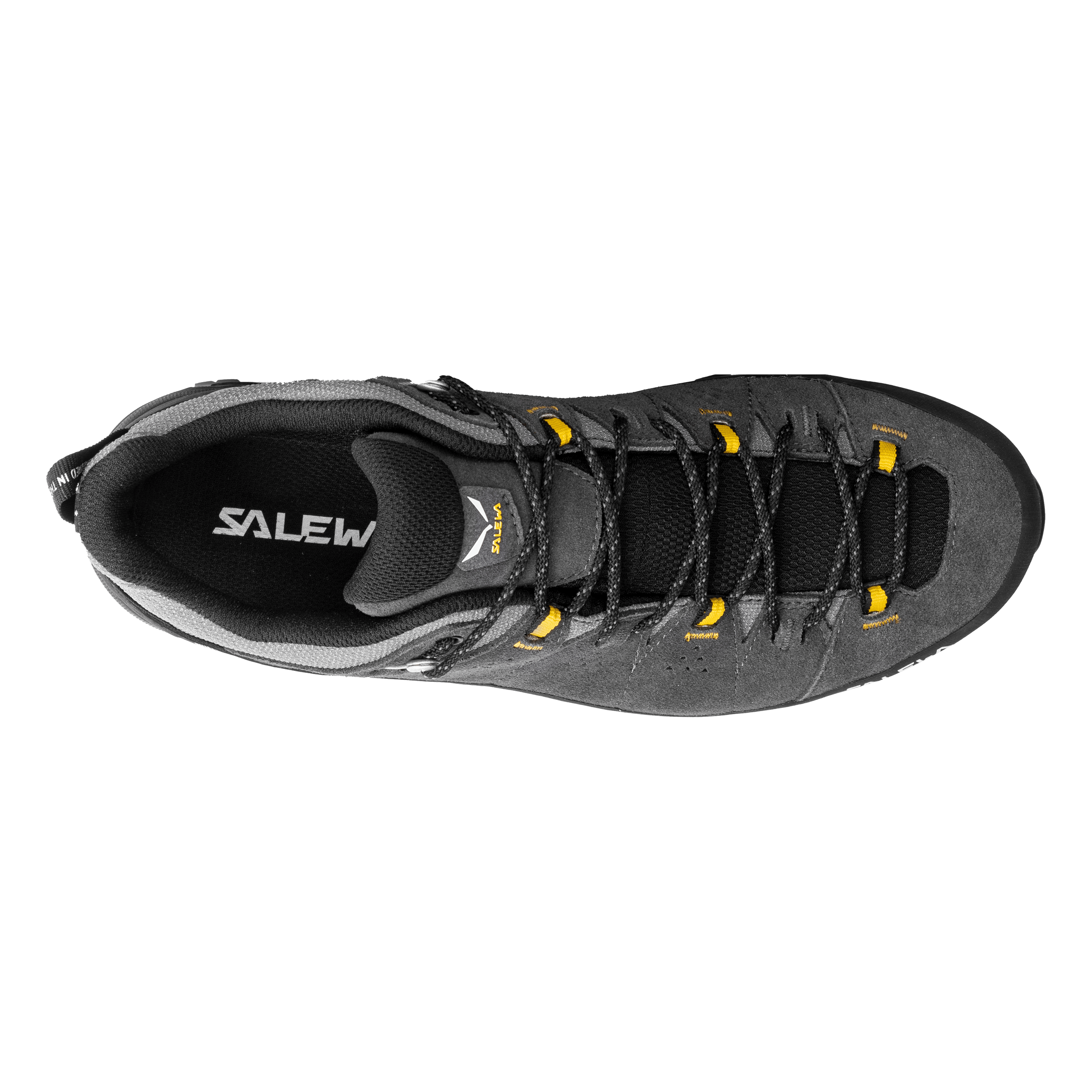 Alp Trainer 2 Gore-Tex® Shoe Men