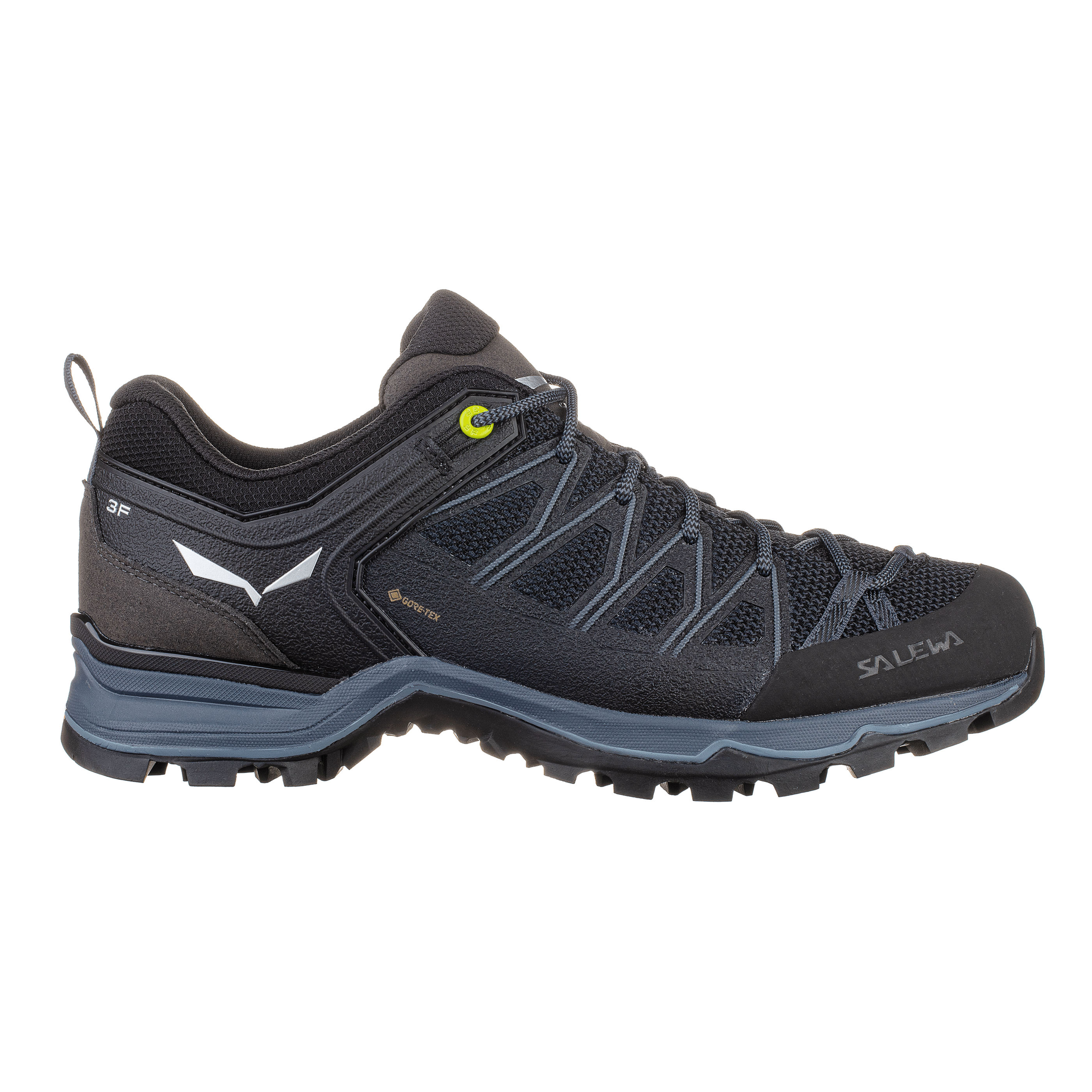 Mountain Trainer Lite GORE-TEX® Men's Shoes