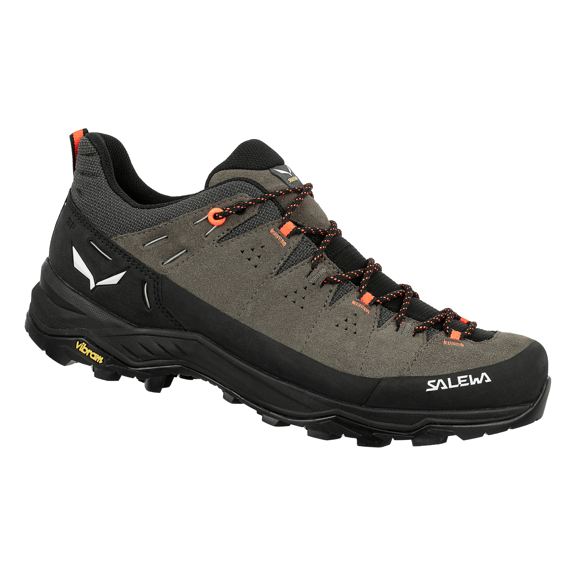 Alp Trainer 2 Shoe Men