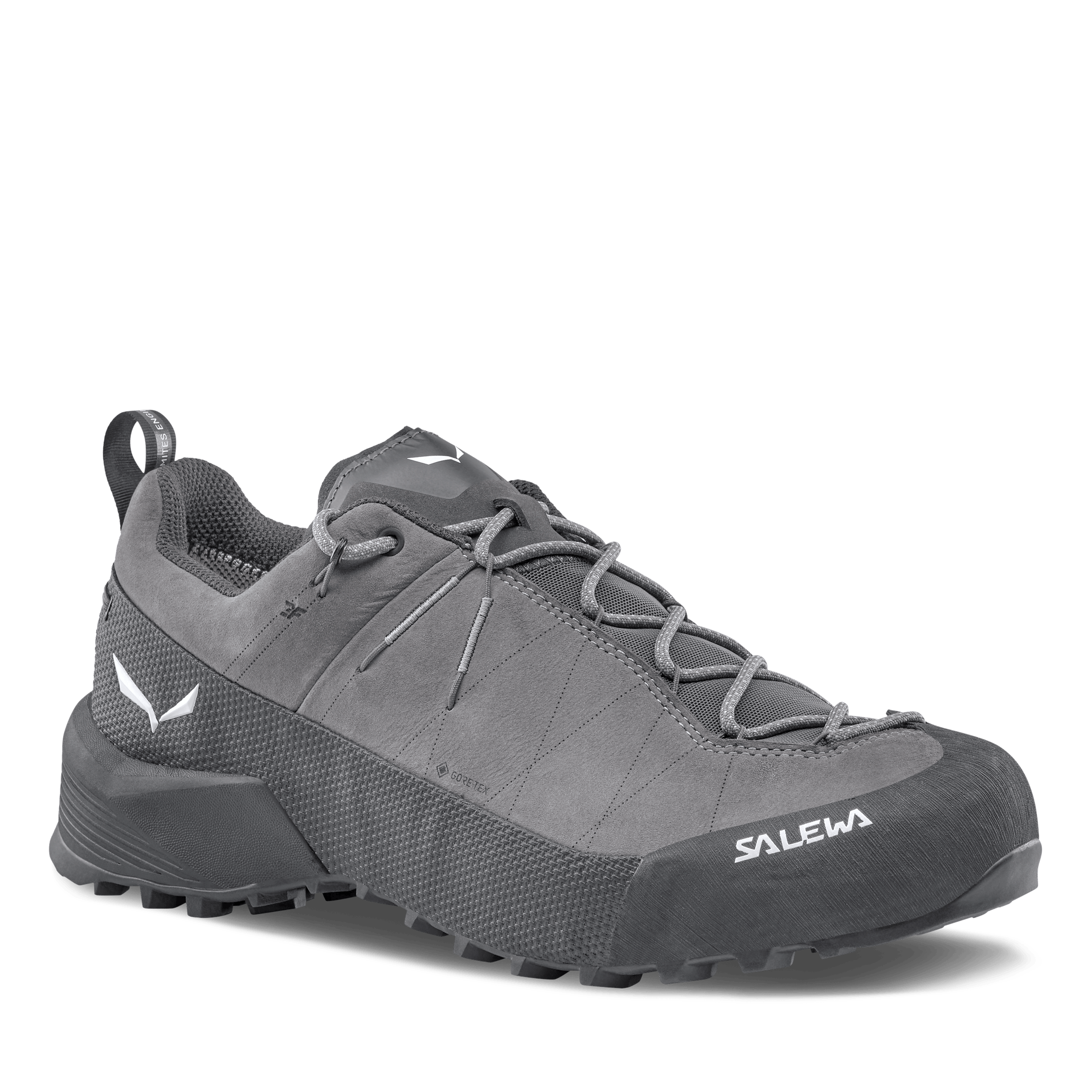 Wildfire Leather 2 GORE-TEX® Shoe Men