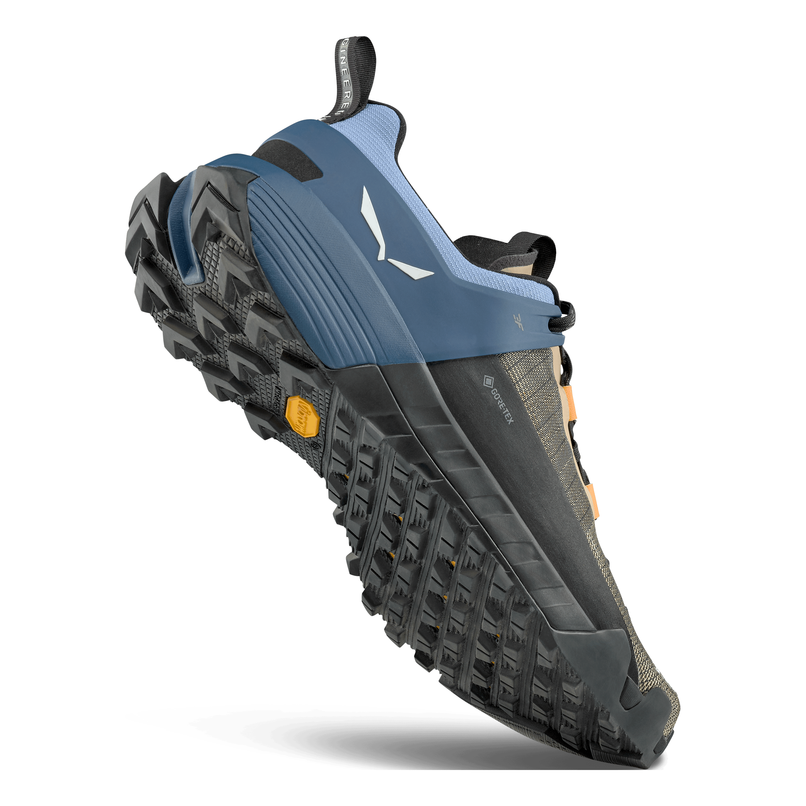 Wildfire NXT GORETEX® Shoe Men