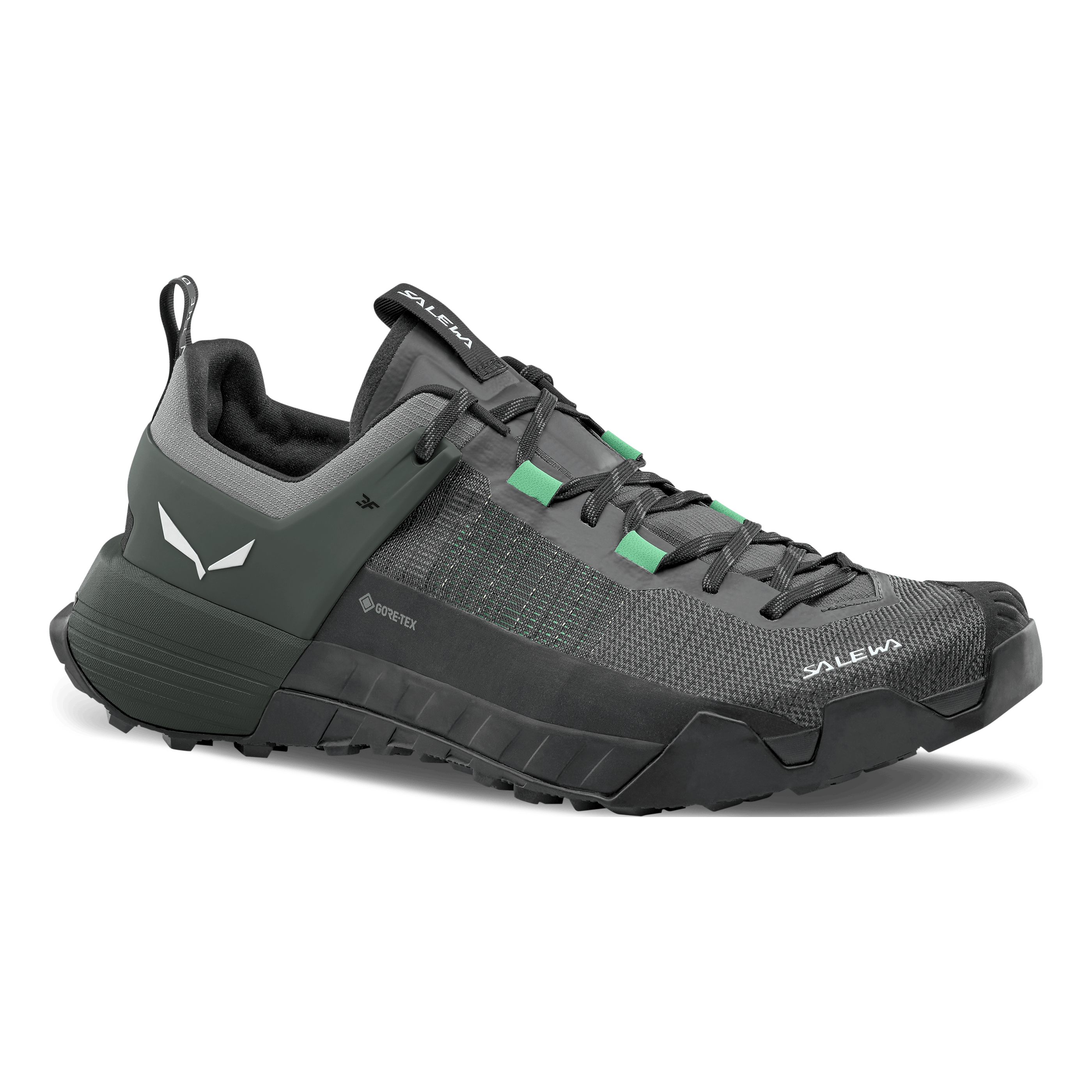 Wildfire NXT GORETEX® Shoe Men