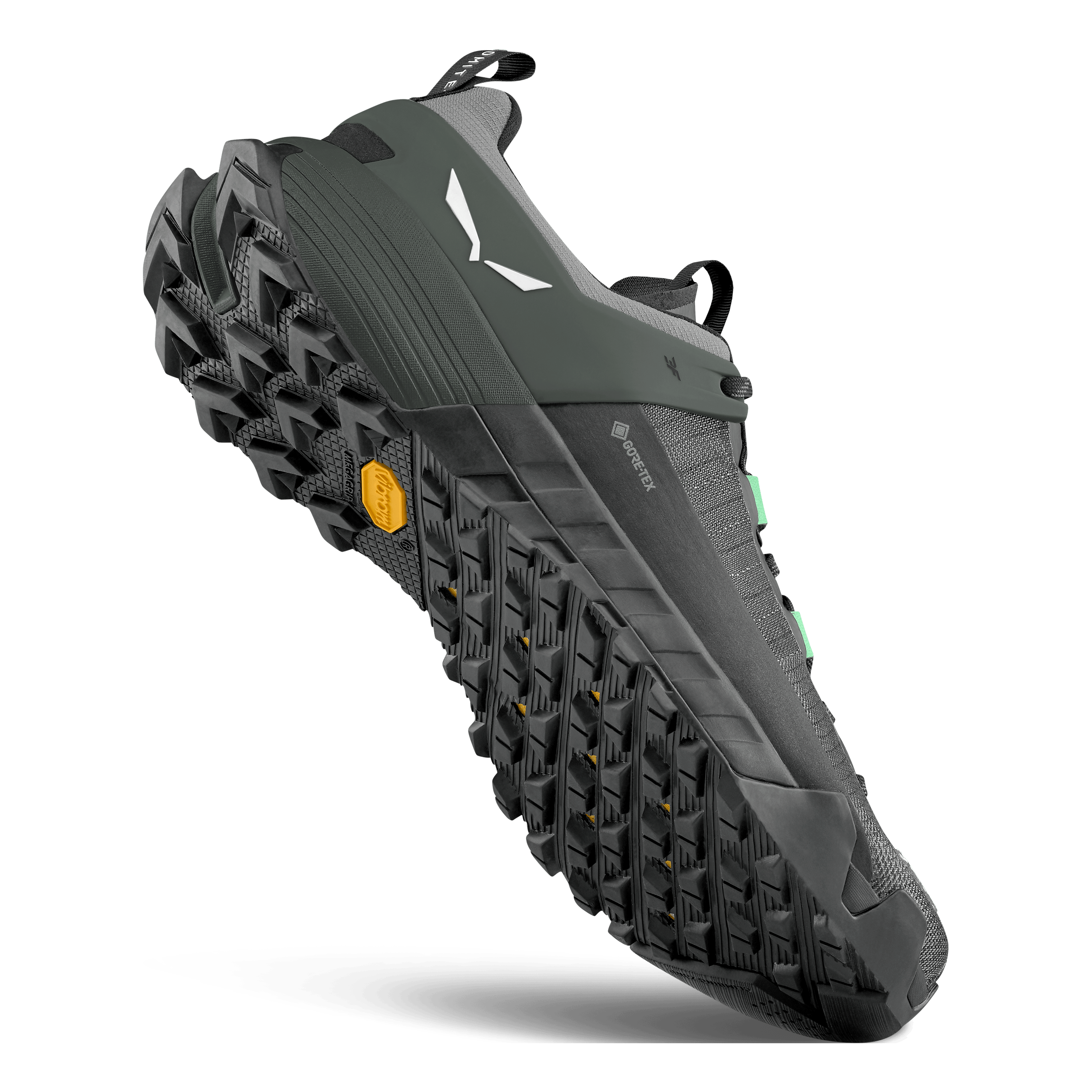 Wildfire NXT GORETEX® Shoe Men