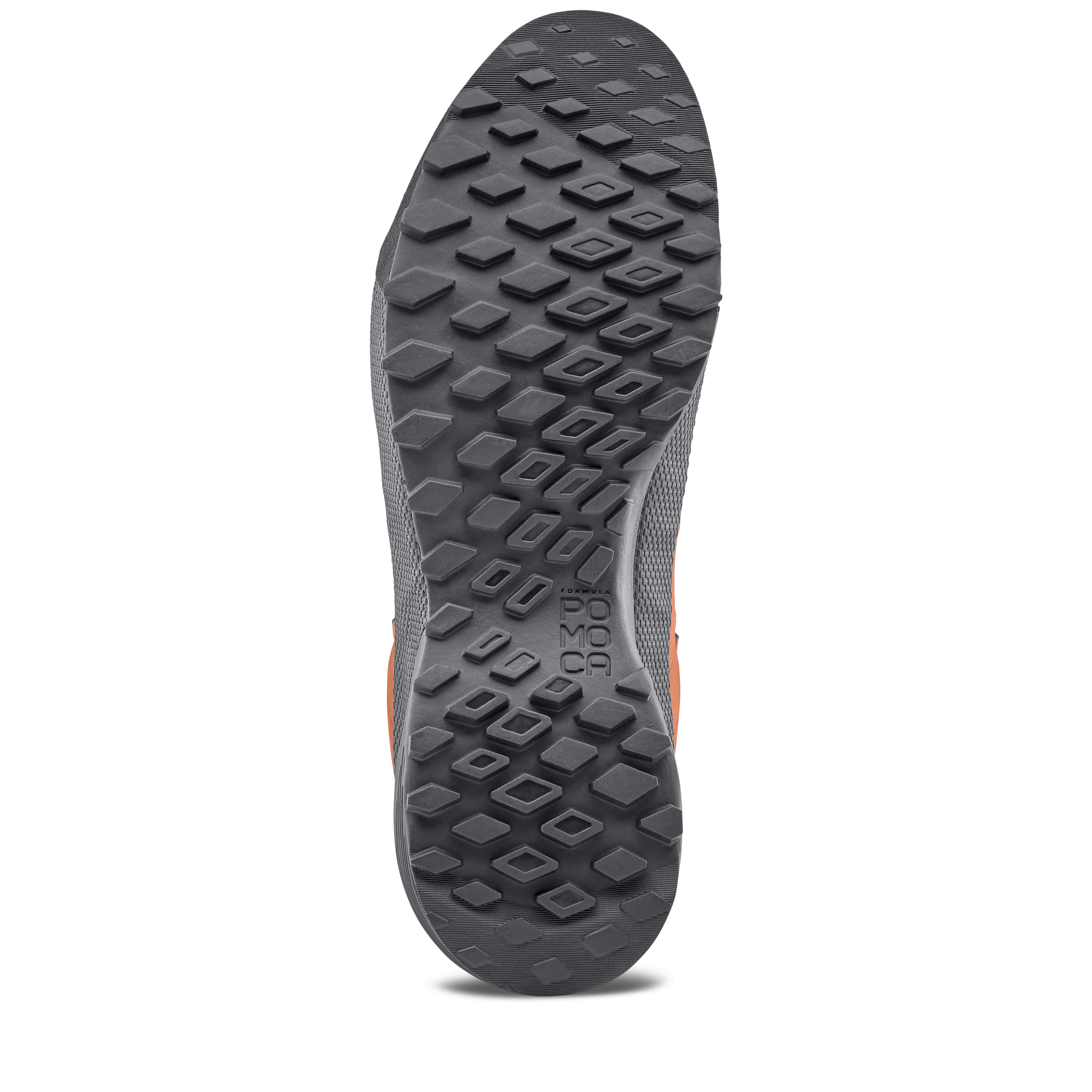 Wildfire Leather 2 GORE-TEX® Shoe Men
