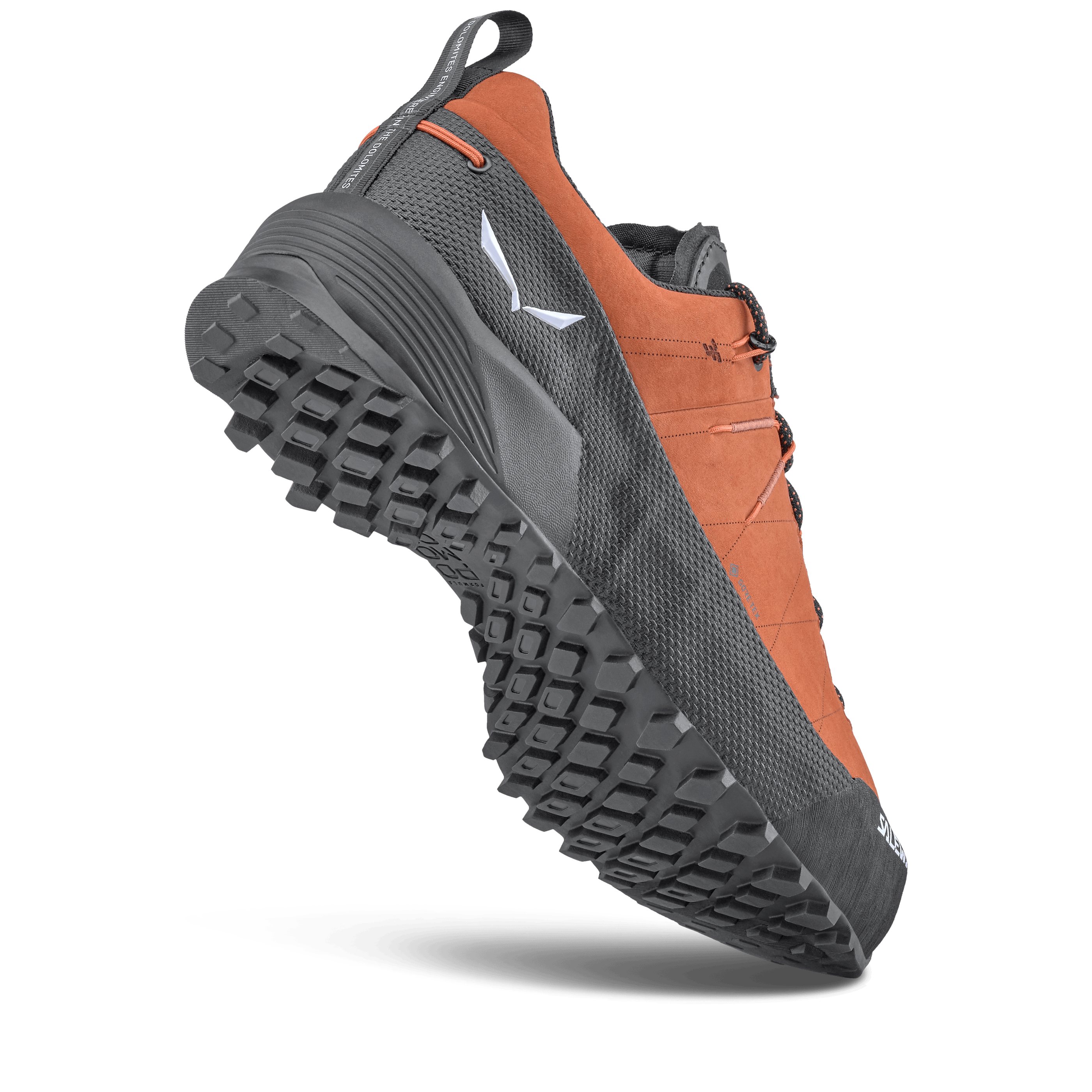 Wildfire Leather 2 GORE-TEX® Shoe Men