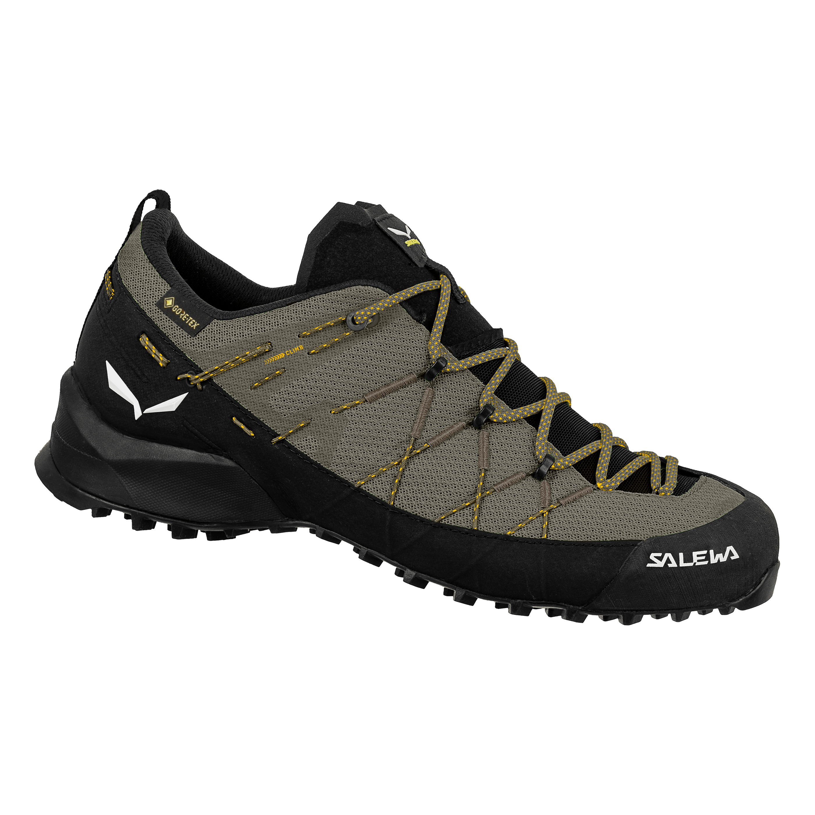 Wildfire 2 Gore-Tex® Shoe Men