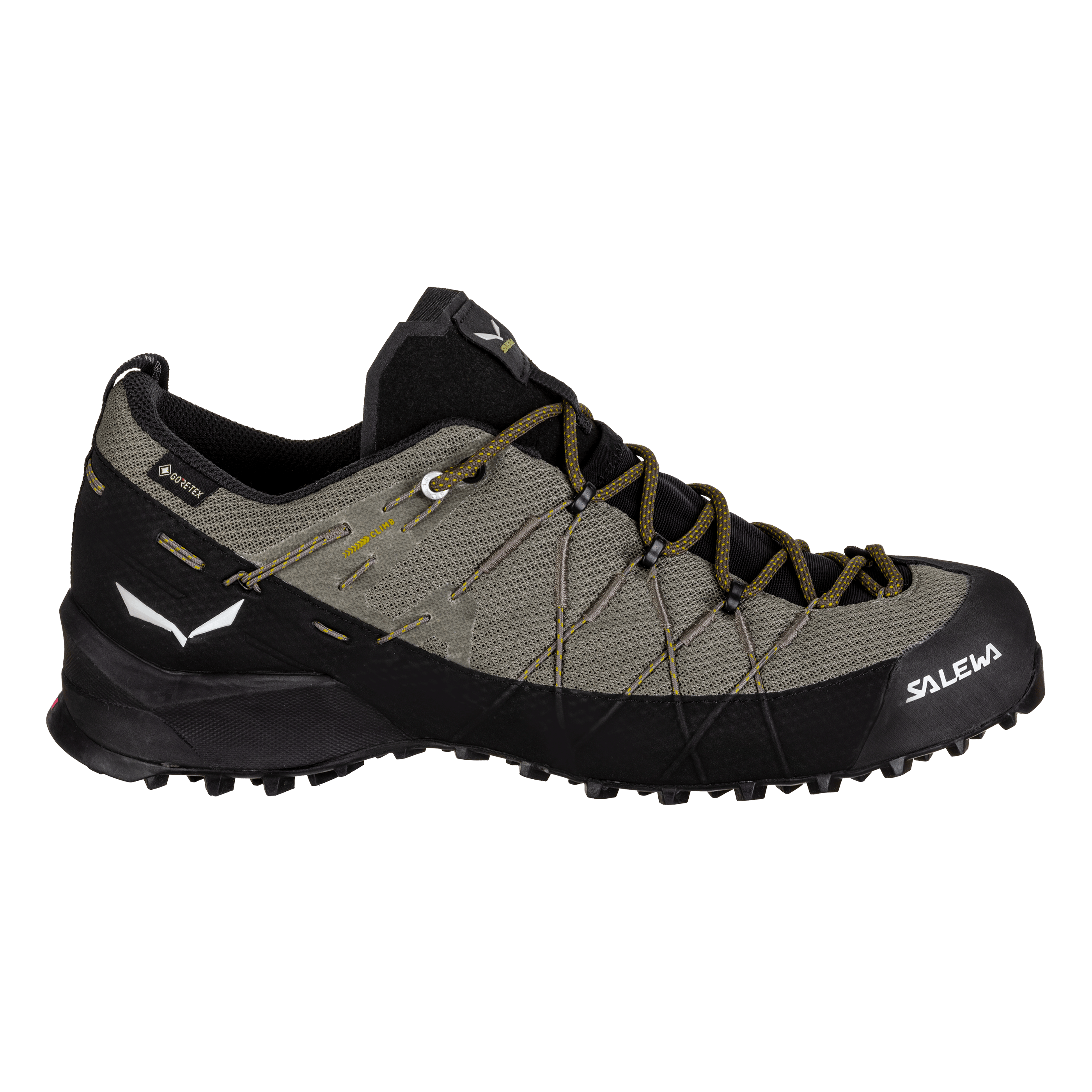 Wildfire 2 Gore-Tex® Shoe Men