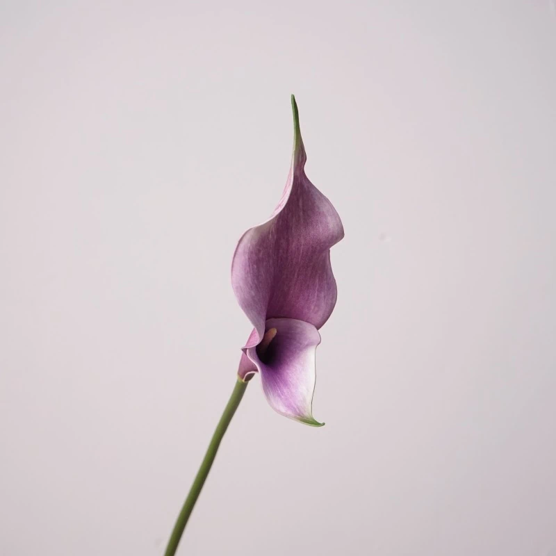Artificial Real-Touch Calla Lily Stems - 22.8"-Lunkadee
