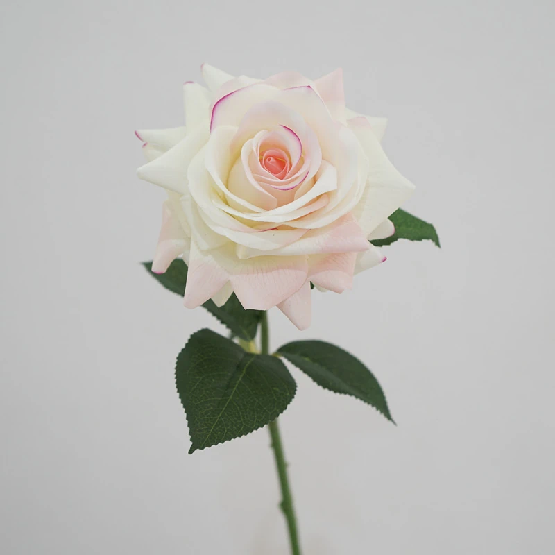 Lunkadee Real Touch Large Rose Stems - 20"（8 or 16 Stems）