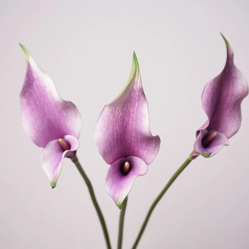 Artificial Real-Touch Calla Lily Stems - 22.8"-Lunkadee
