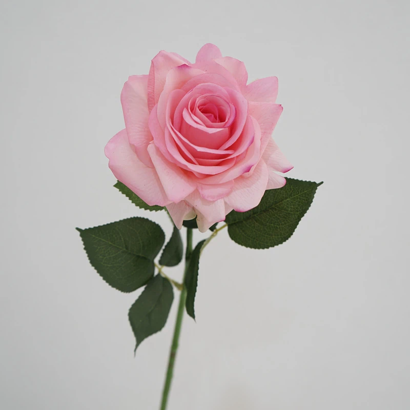 Lunkadee Real Touch Large Rose Stems - 20"（8 or 16 Stems）