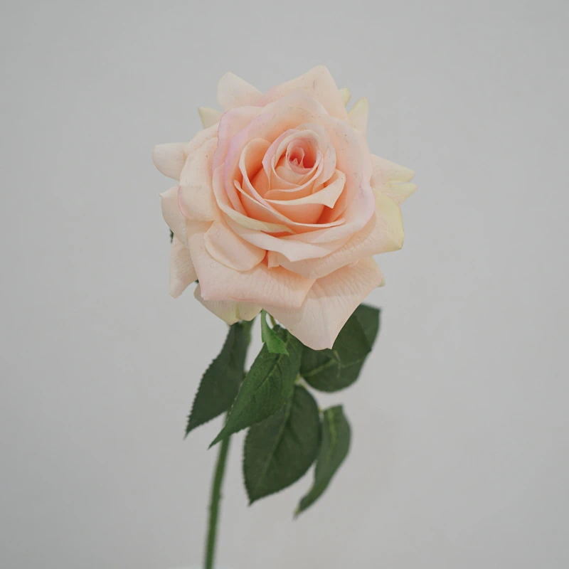 Lunkadee Real Touch Large Rose Stems - 20"（8 or 16 Stems）