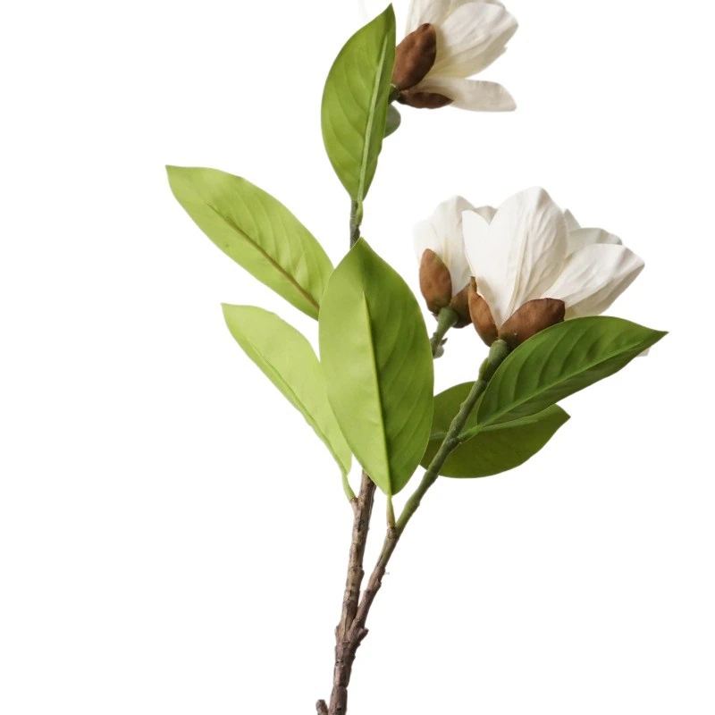 Artificial 3-Bloom White Magnolia Stems - 29.75-Lunkadee