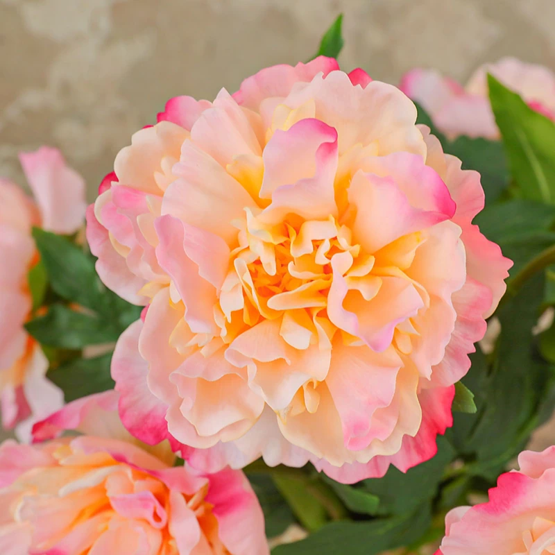 Artificial Real-Touch Peony Stems - 20.5"