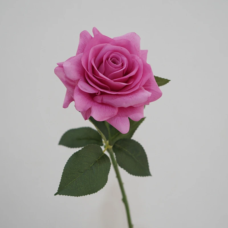 Lunkadee Real Touch Large Rose Stems - 20"（8 or 16 Stems）