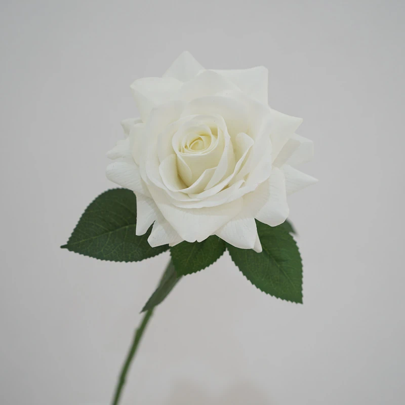 Lunkadee Real Touch Large Rose Stems - 20"（8 or 16 Stems）