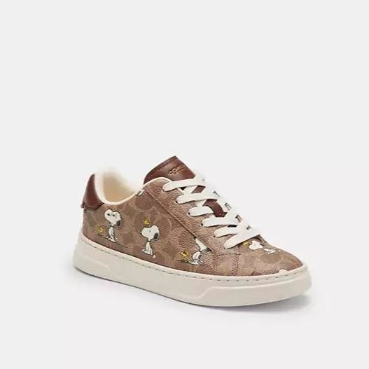  Coathtch X Peanuts High Line Sneaker In Signature Canvas With Snoopy Print