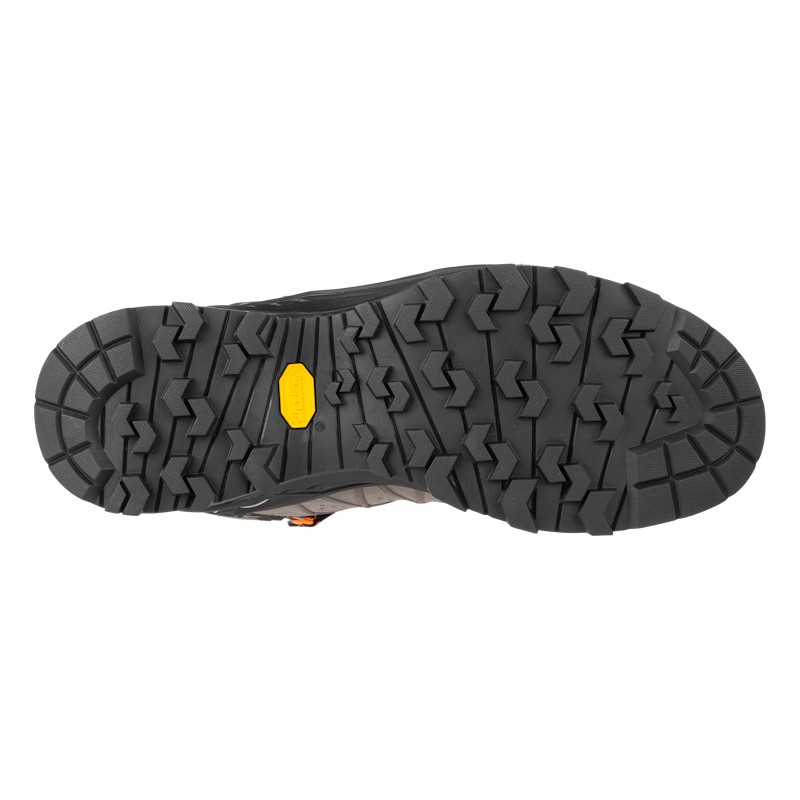 Alp Trainer 2 Mid GORE-TEX® Men's Shoe