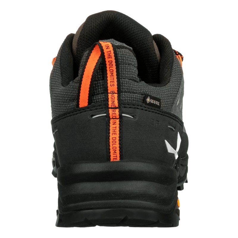Alp Trainer 2 Gore-Tex® Shoe Men